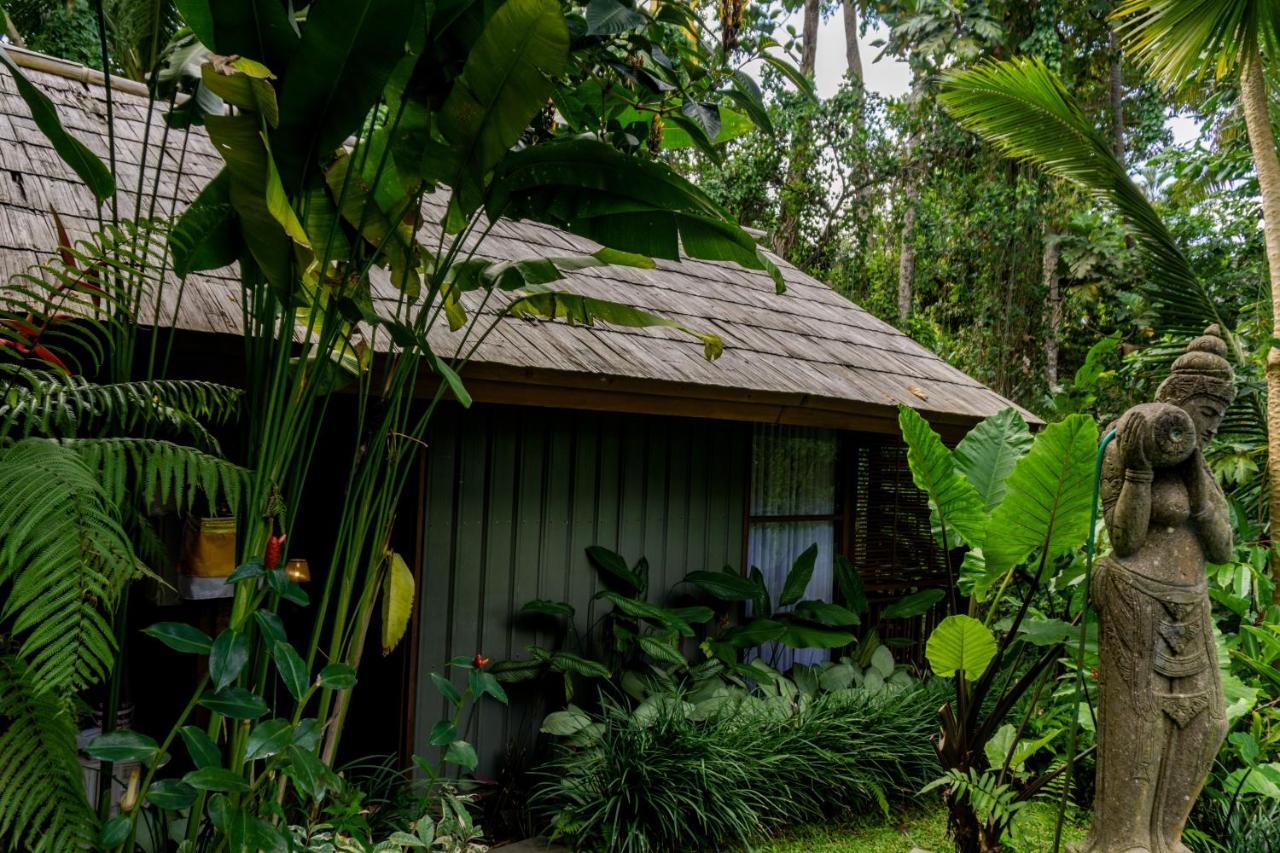 Villa Ubud Sunshine Zewnętrze zdjęcie