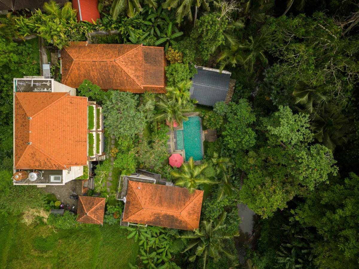 Villa Ubud Sunshine Zewnętrze zdjęcie