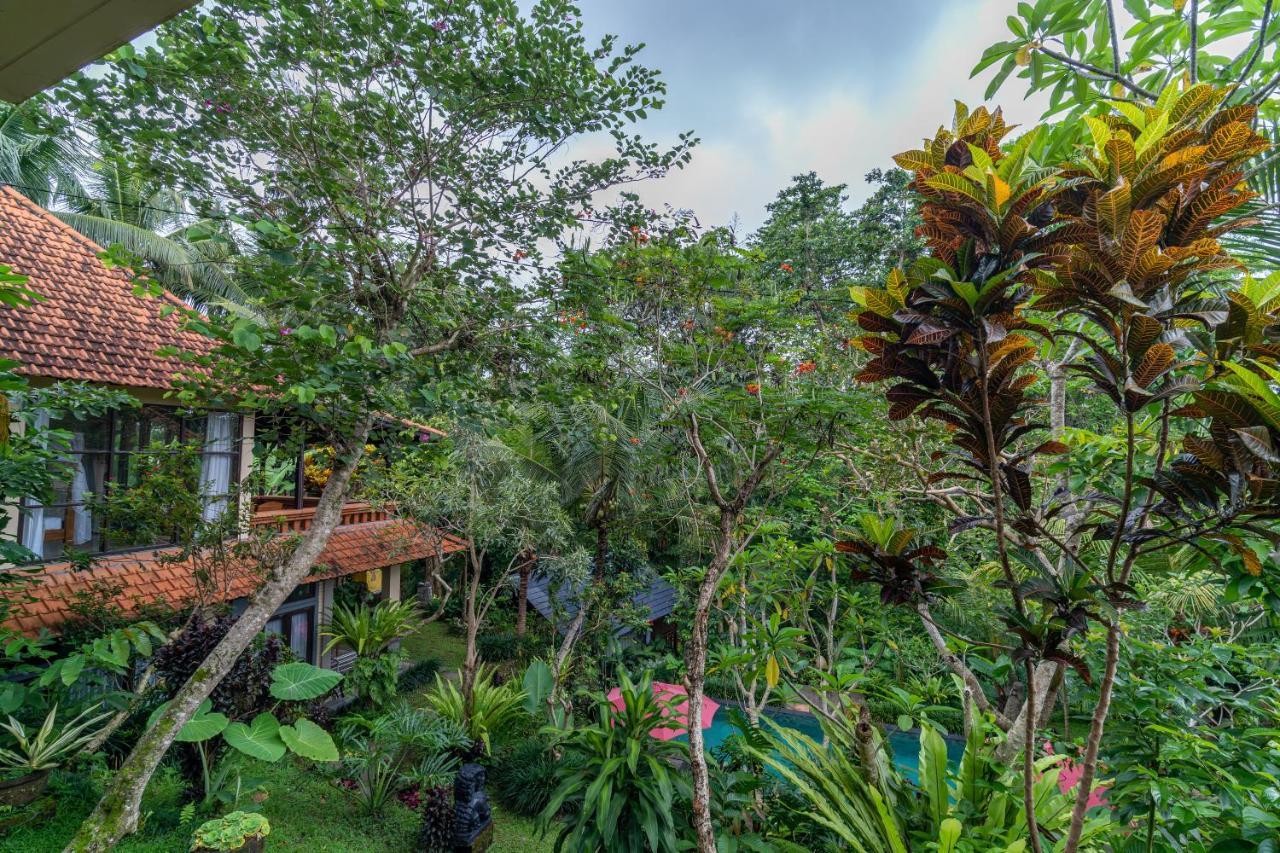 Villa Ubud Sunshine Zewnętrze zdjęcie