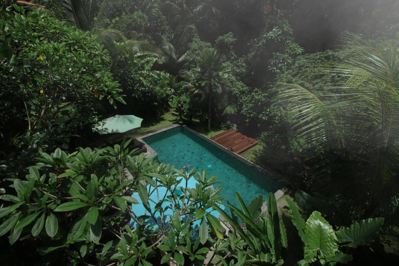 Villa Ubud Sunshine Zewnętrze zdjęcie